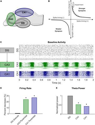 Plasticity impairment alters community structure but permits successful pattern separation in a hippocampal network model